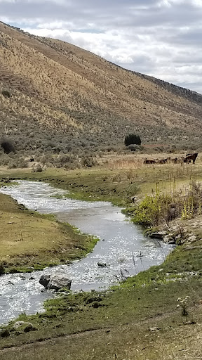 12 Mile Hot Springs - Photo 1