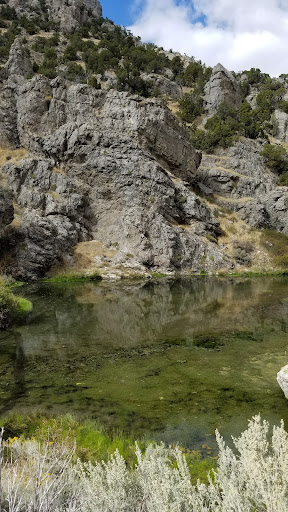 12 Mile Hot Springs - Photo 2