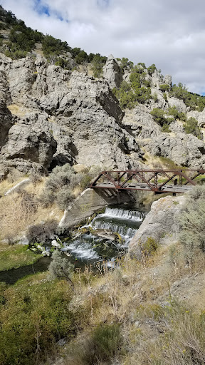 12 Mile Hot Springs - Photo 4