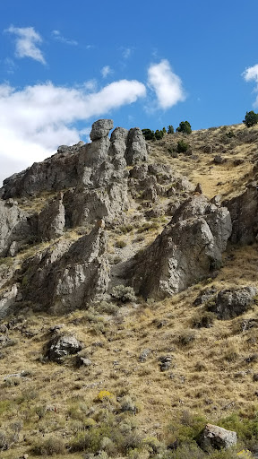 12 Mile Hot Springs - Photo 6
