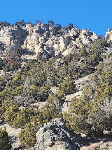 12 Mile Hot Springs - Photo 8