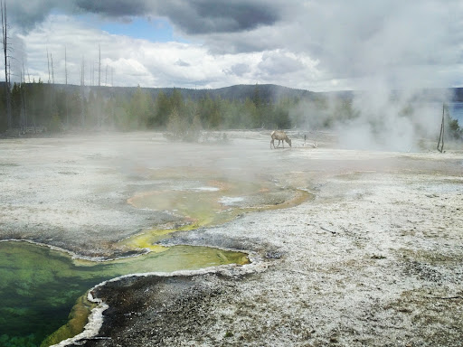 Abyss Pool - Photo 1