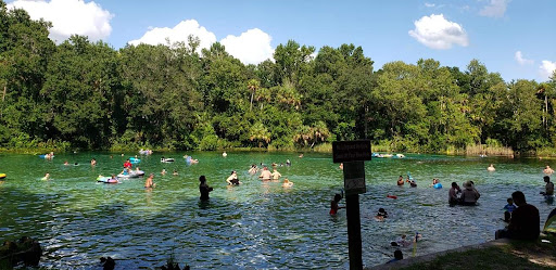 Alexander Springs - Photo 1