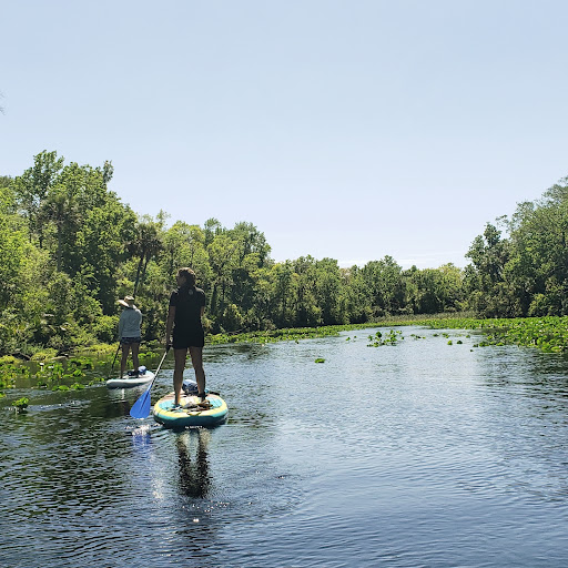 Alexander Springs - Photo 2