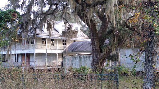 Alexander Springs - Photo 4