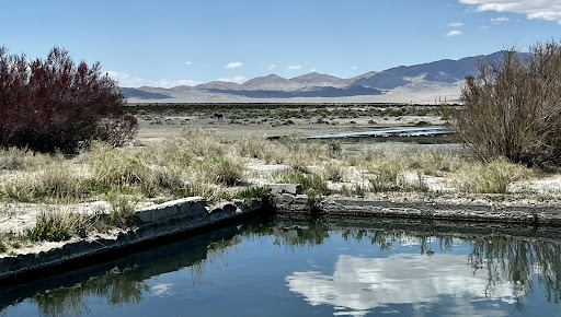 Alkali Flat Hot Springs - Photo 1