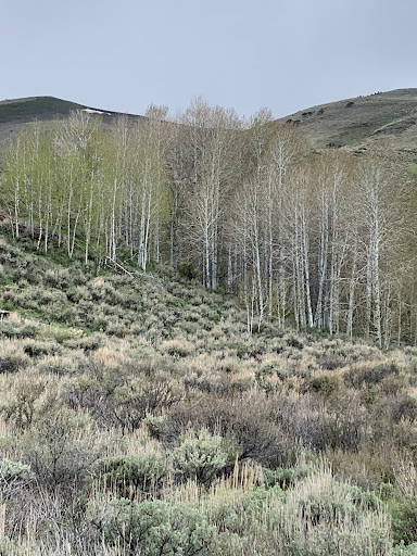 Antelope Hot Springs - Photo 5
