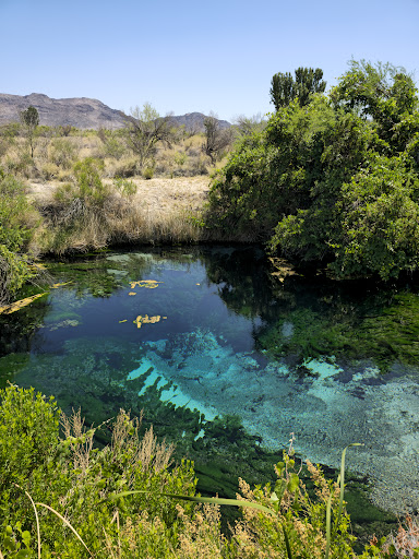 Ash Meadows National Wildlife Refuge - Photo 1