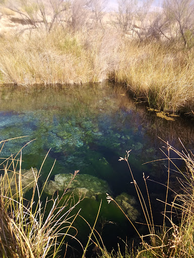 Ash Meadows National Wildlife Refuge - Photo 3