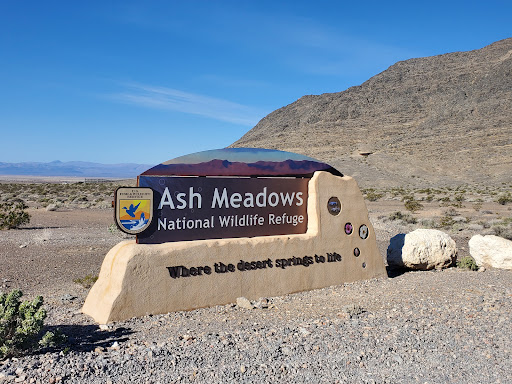 Ash Meadows National Wildlife Refuge - Photo 7