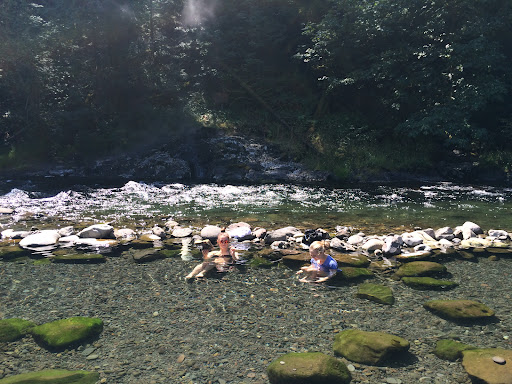 Austin Hot Springs - Photo 4