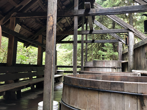 Bagby Hot Springs - Photo 1