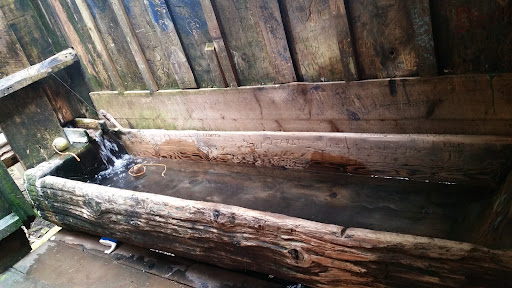 Bagby Hot Springs - Photo 5