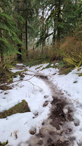 Baker Hot Springs - Photo 3