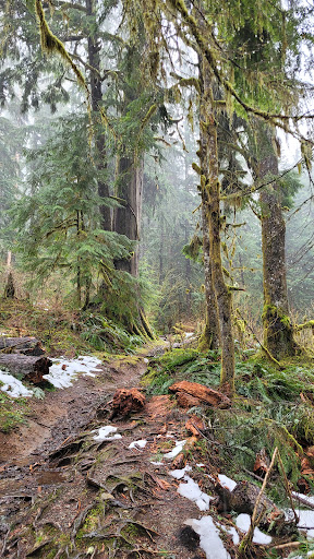 Baker Hot Springs - Photo 4