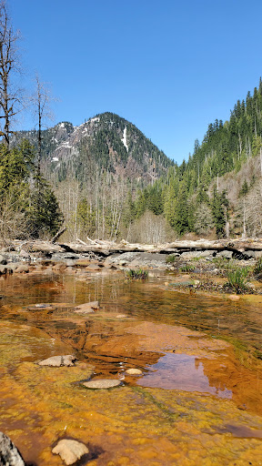 Baker Hot Springs - Photo 6