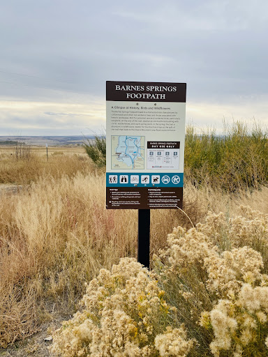 Barnes Warm Springs - Photo 2
