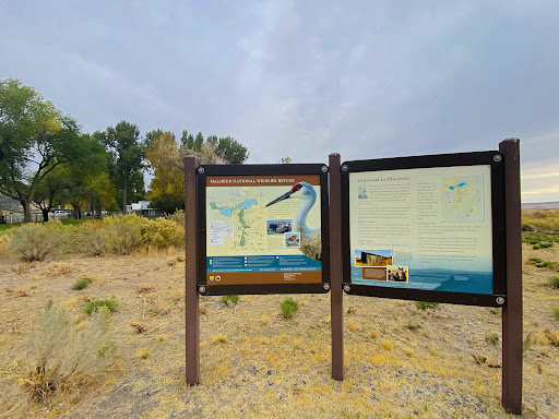 Barnes Warm Springs - Photo 3