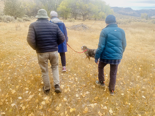 Barnes Warm Springs - Photo 4