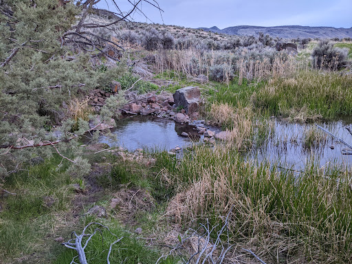 Barnes Warm Springs