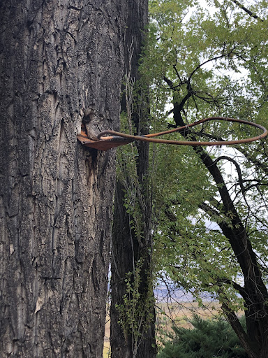 Barnes Warm Springs - Photo 8