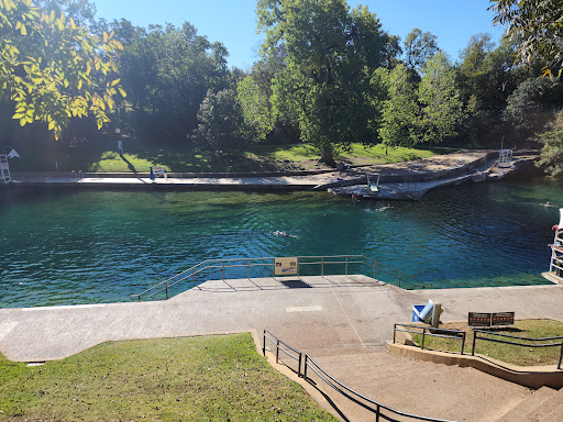 Barton Springs Municipal Pool - Photo 1