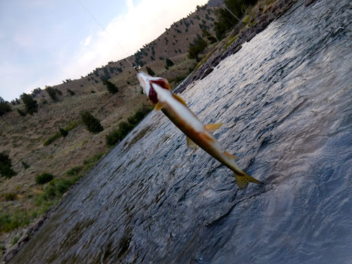 Basin Creek Hot Springs - Photo 4