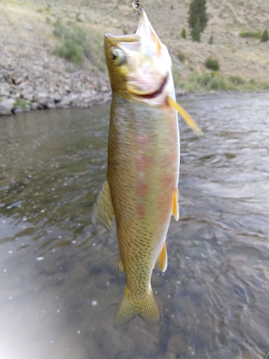 Basin Creek Hot Springs - Photo 5