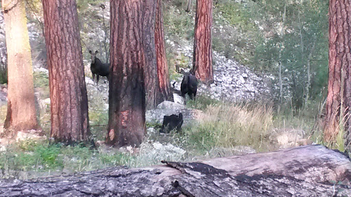 Baumgartner Hot Springs - Photo 7
