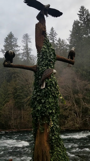 Belknap Hot Springs - Photo 8