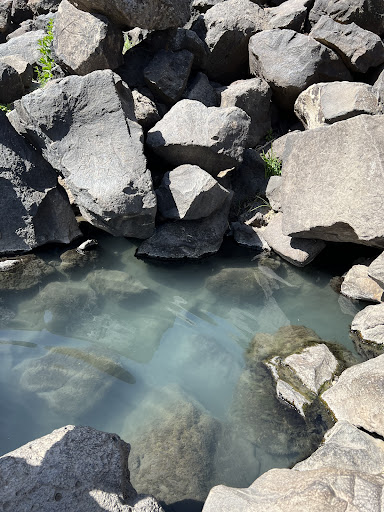 Black Rock Hot Springs New Mexico - Photo 7