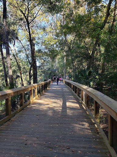 Blue Spring State Park - Photo 3