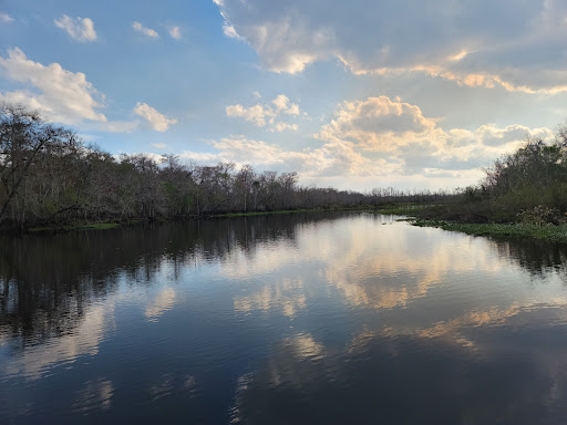 Blue Spring State Park - Photo 6