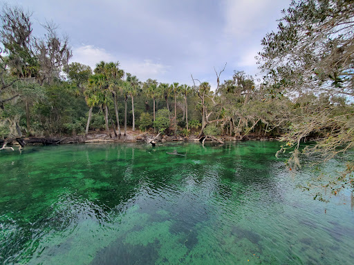 Blue Spring State Park - Photo 7