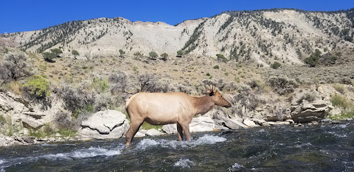 Boiling river hot springs - Photo 4