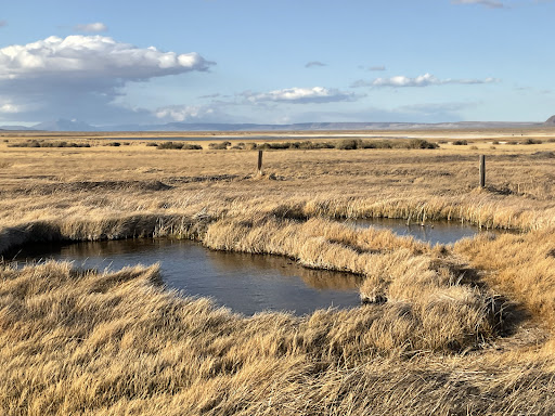 Borax Lake Hot Springs - Photo 1