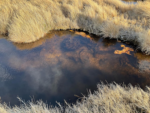 Borax Lake Hot Springs - Photo 3
