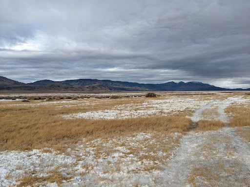 Borax Lake Hot Springs - Photo 5
