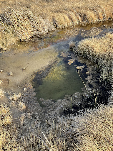 Borax Lake Hot Springs - Photo 7