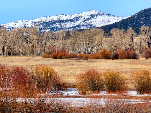 Boulder Hot Springs - Photo 5