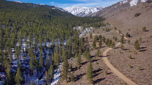 Buckeye Hot Springs - Photo 2
