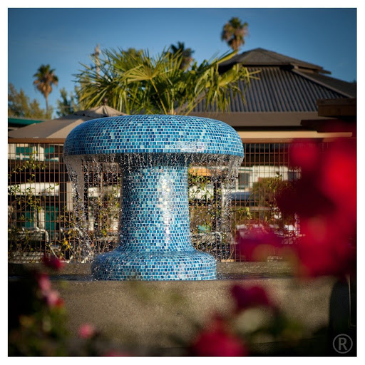 Calistoga Hot Springs - Photo 5
