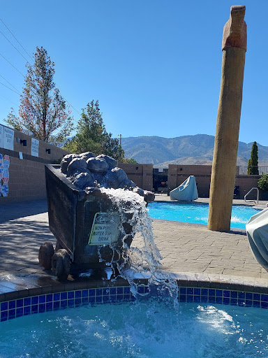 Carson hot springs - Photo 3