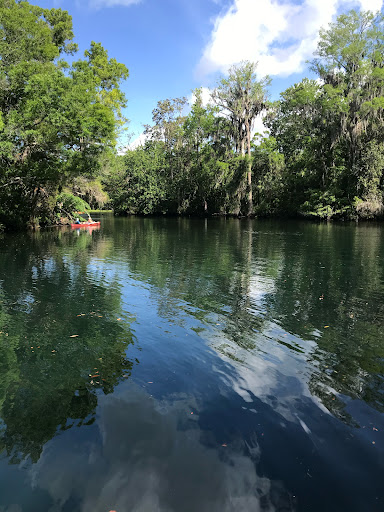 Chassahowitzka Springs - Photo 1