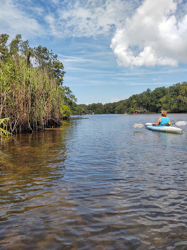 Chassahowitzka Springs - Photo 3