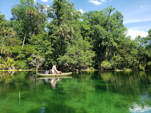 Chassahowitzka Springs - Photo 4