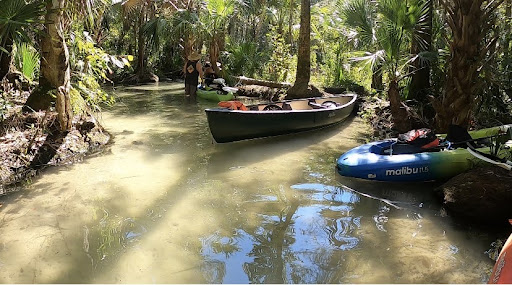 Chassahowitzka Springs - Photo 6