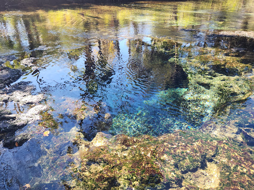 Chassahowitzka Springs