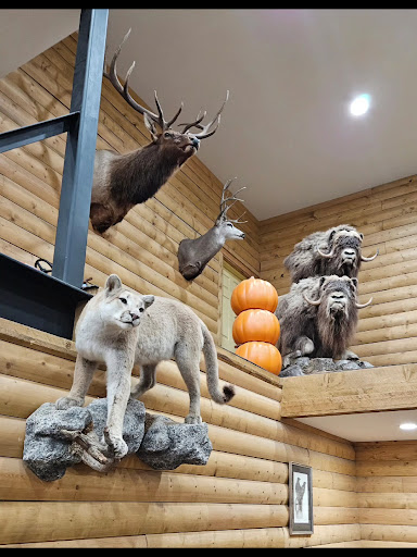 Chena Hot Springs - Photo 2