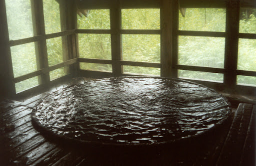 Chief Shakes Hot Springs